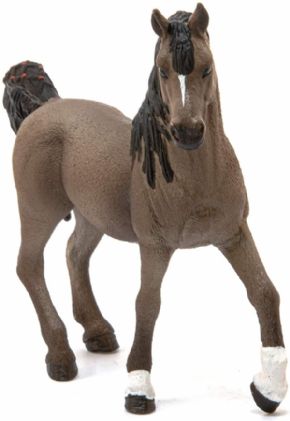 SEMENTAL ARABE SCHLEICH