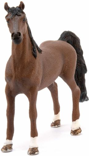 CABALLO SADDLEBRED AMERICANO