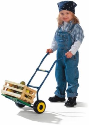 CARRETILLO PARA NIOS ROLLYTOYS