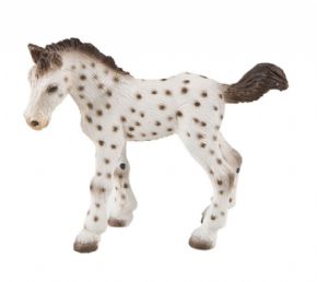 CABALLO - POTRO KNABSTRUP