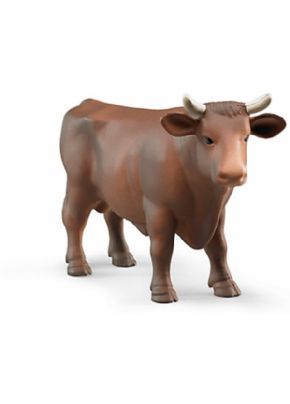 TORO MARRON BRUDER